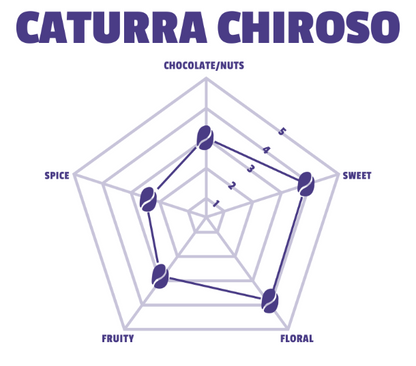 Caturra Chiroso | Floral · Tangerine · Lemongrass