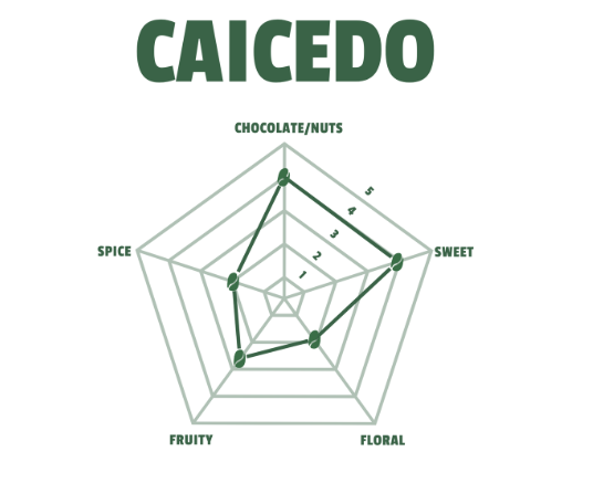 Caicedo | Chocolate · Honey · Yellow Fruit