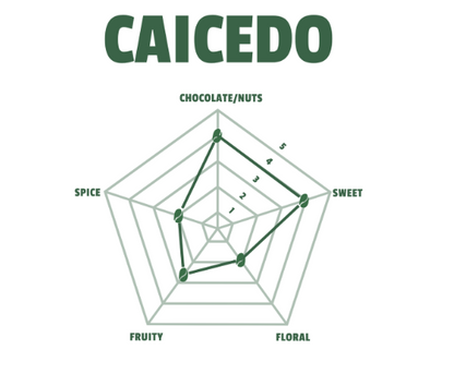 Caicedo | Chocolate · Honey · Yellow Fruit